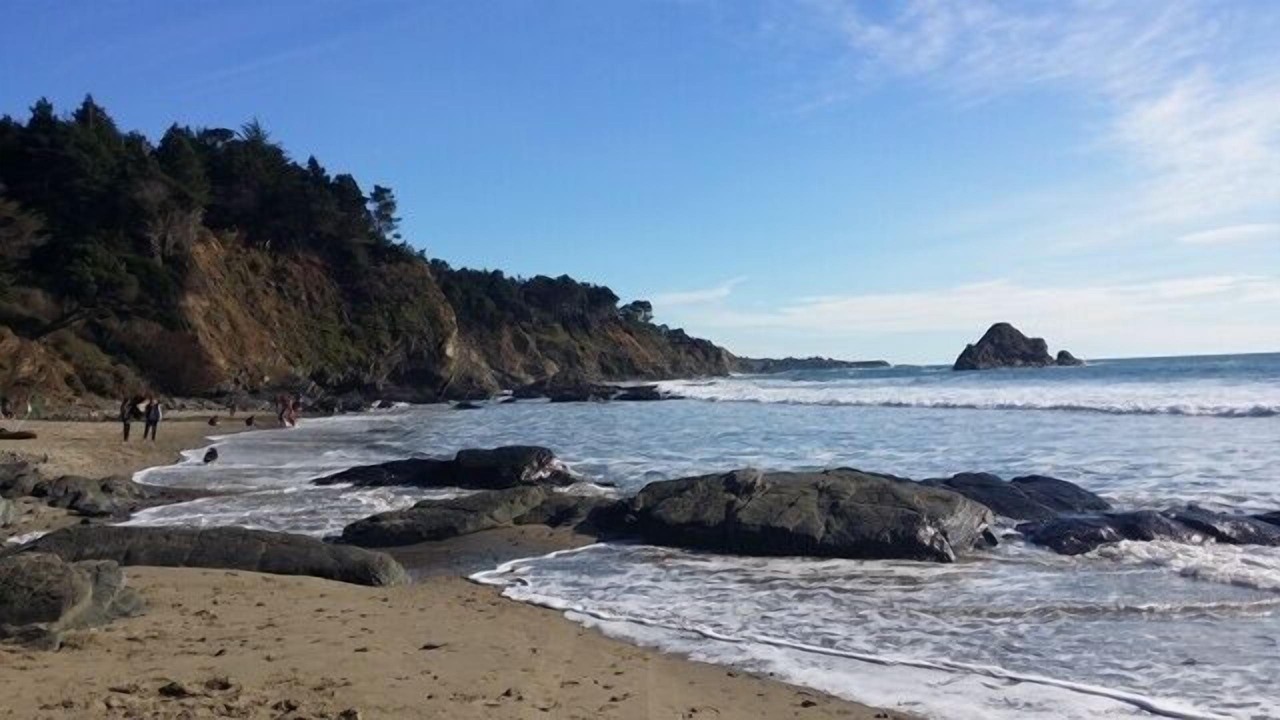 Photo of Others in Anchor Bay
