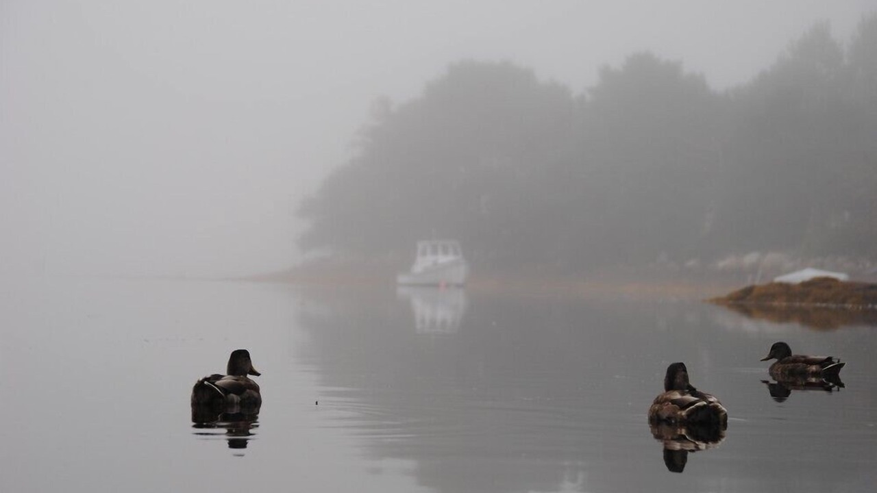 Photo of Others in Mahone Bay