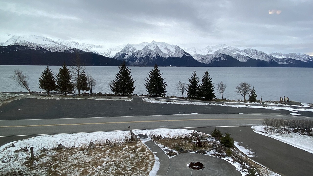 Photo of Others in Seward