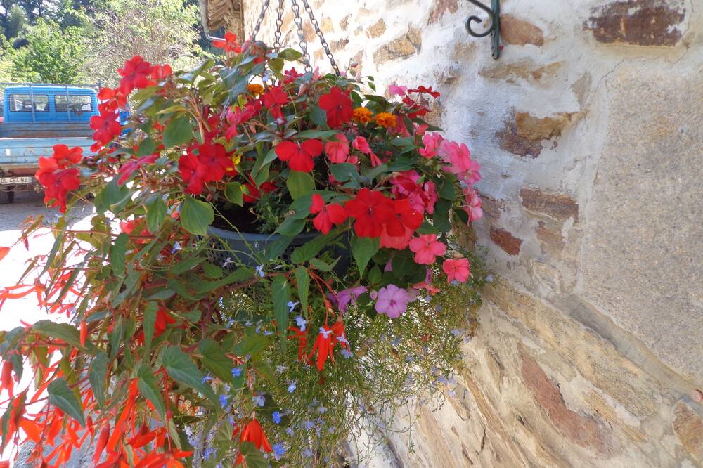 Photo of Outdoor in Mialet