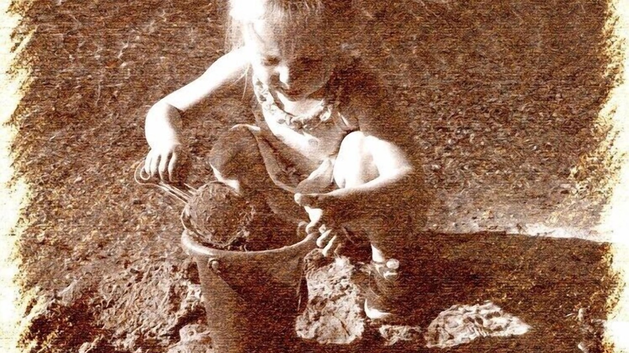 Photo of Others in Glovertown