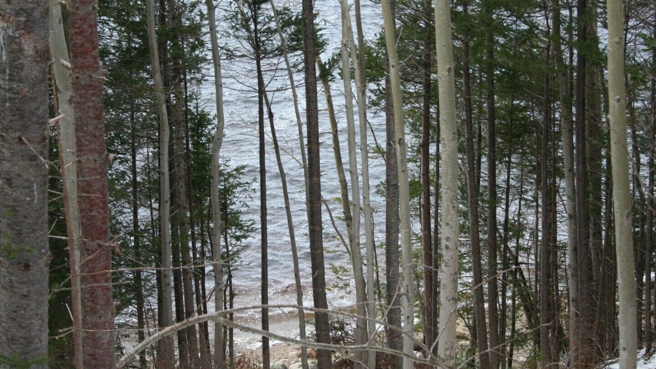 Photo of Others in Glovertown