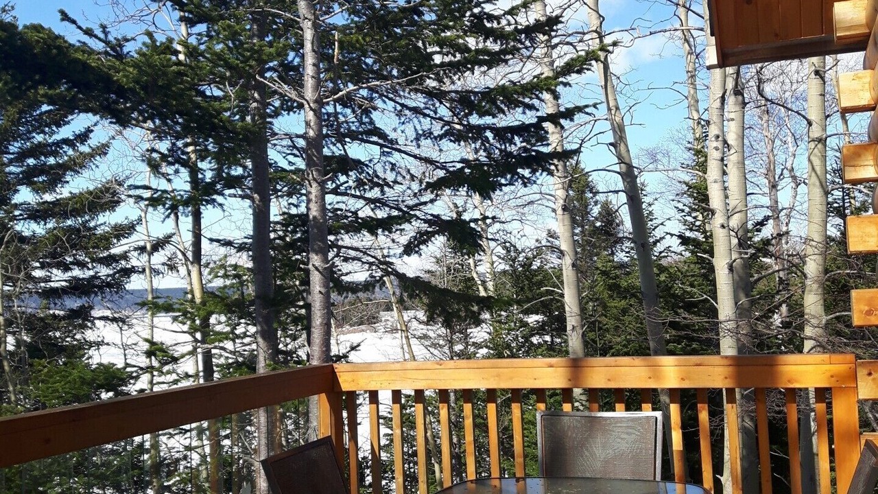 Photo of Outdoor in Glovertown