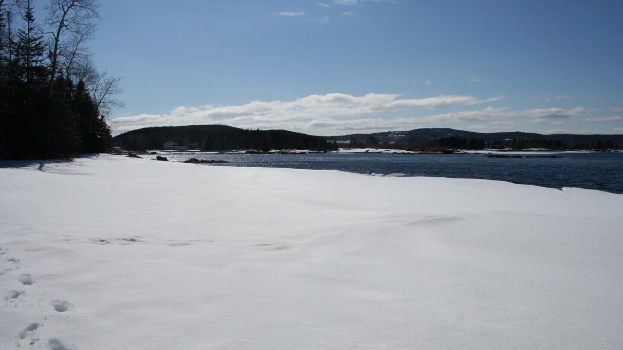 Photo of Others in Glovertown
