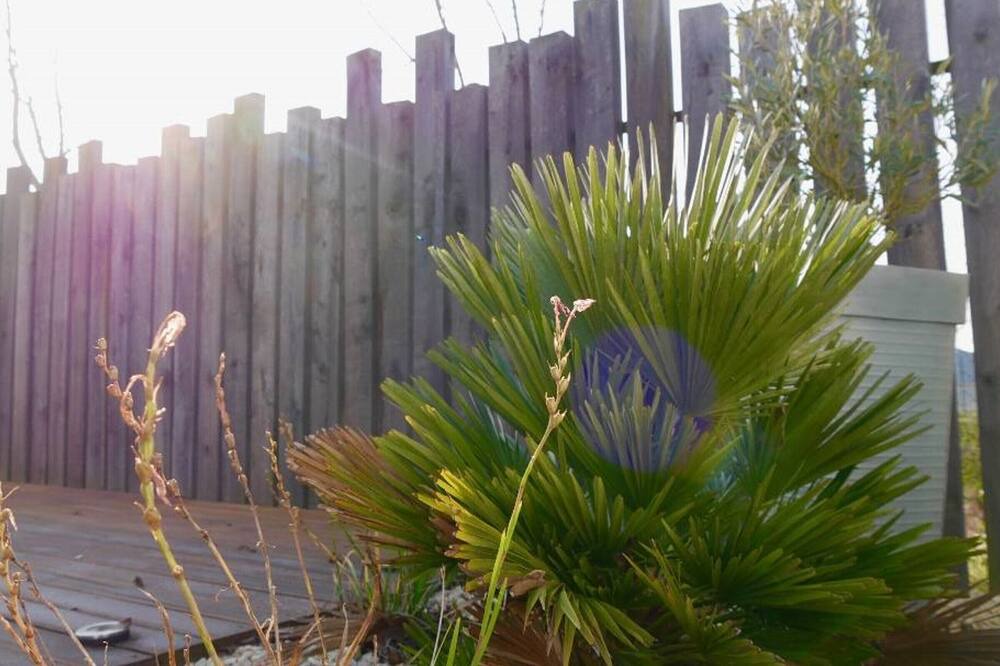 Photo of Outdoor in Saint-Gilles-Croix-de-Vie