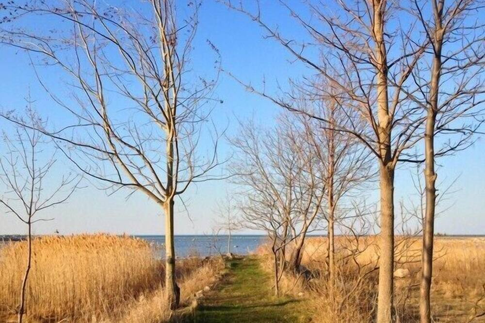 Photo of Outdoor in Collingwood