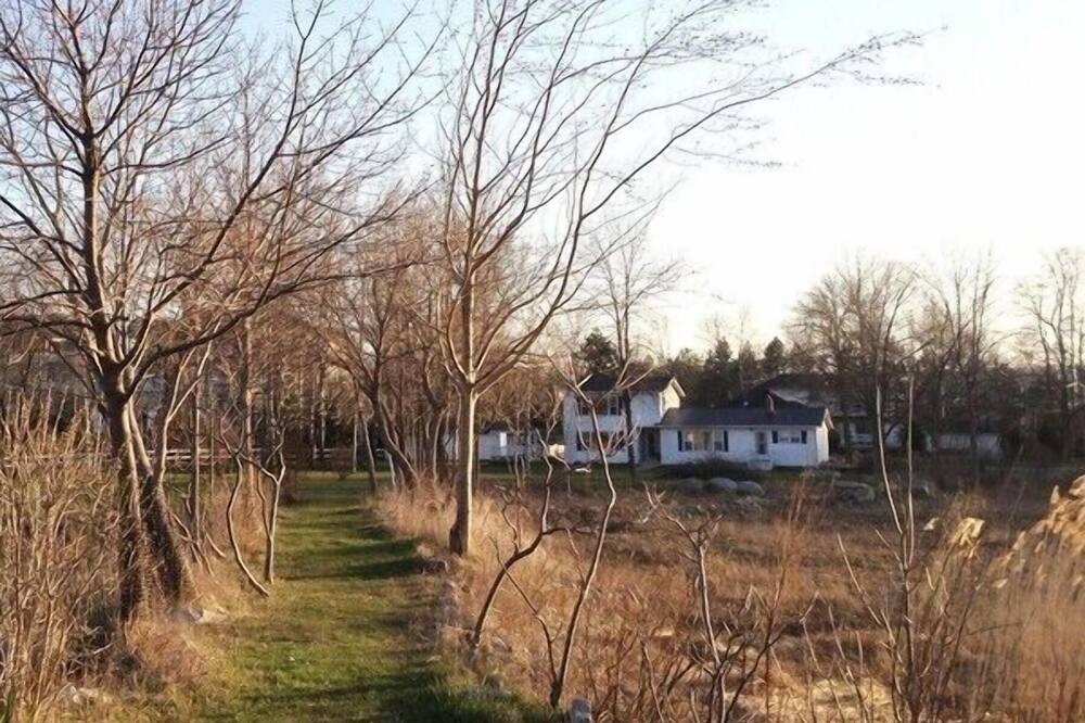 Photo of Outdoor in Collingwood