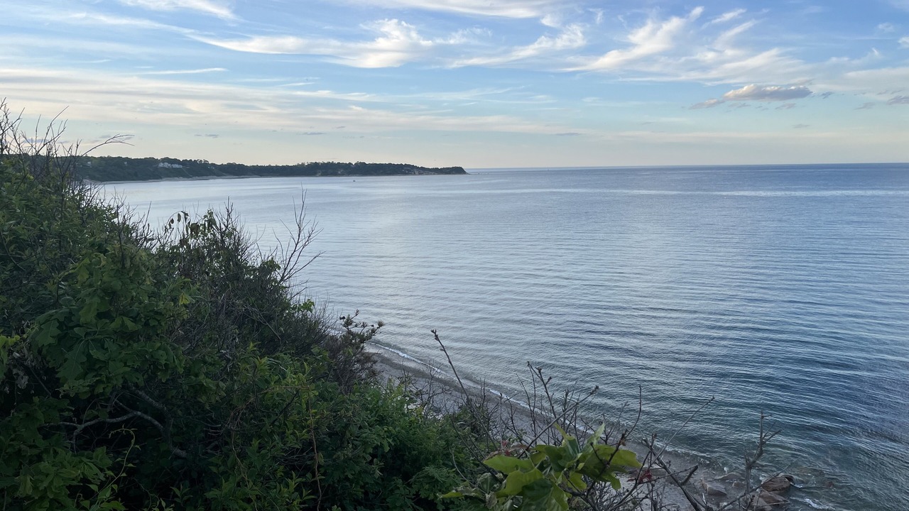Photo of Outdoor in Cedar Bushes