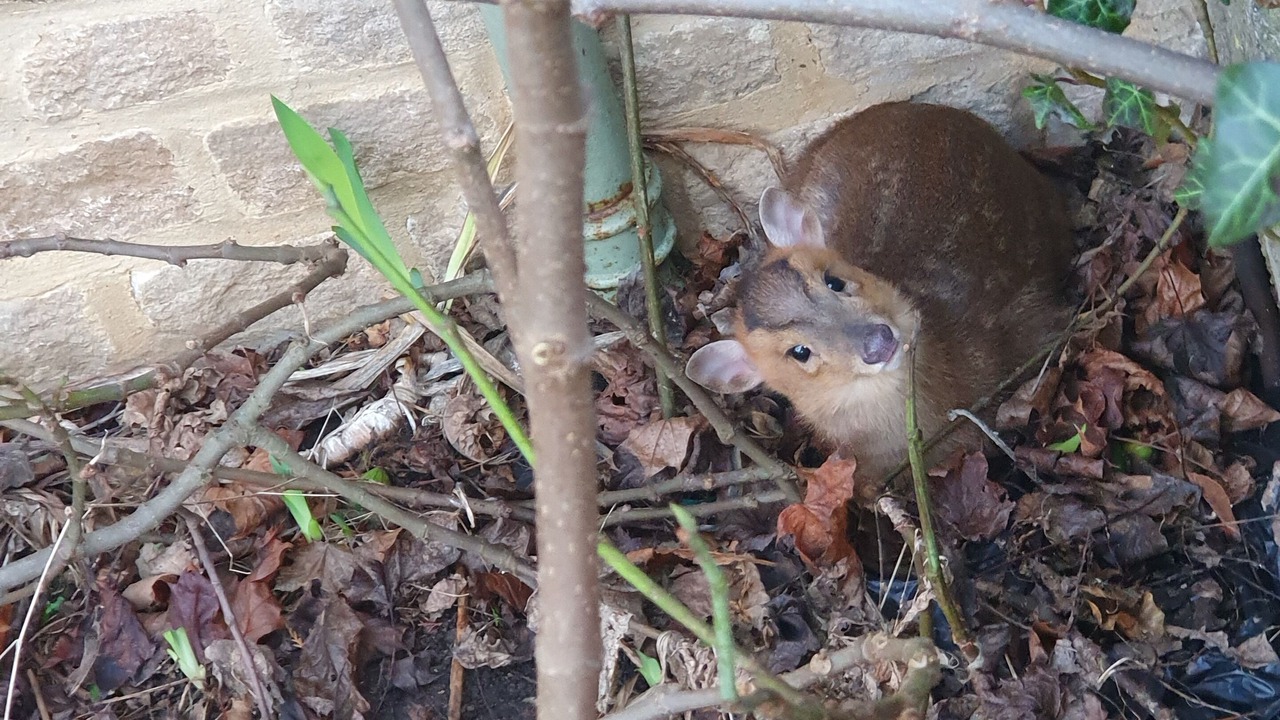 Photo of Outdoor in Charney Bassett