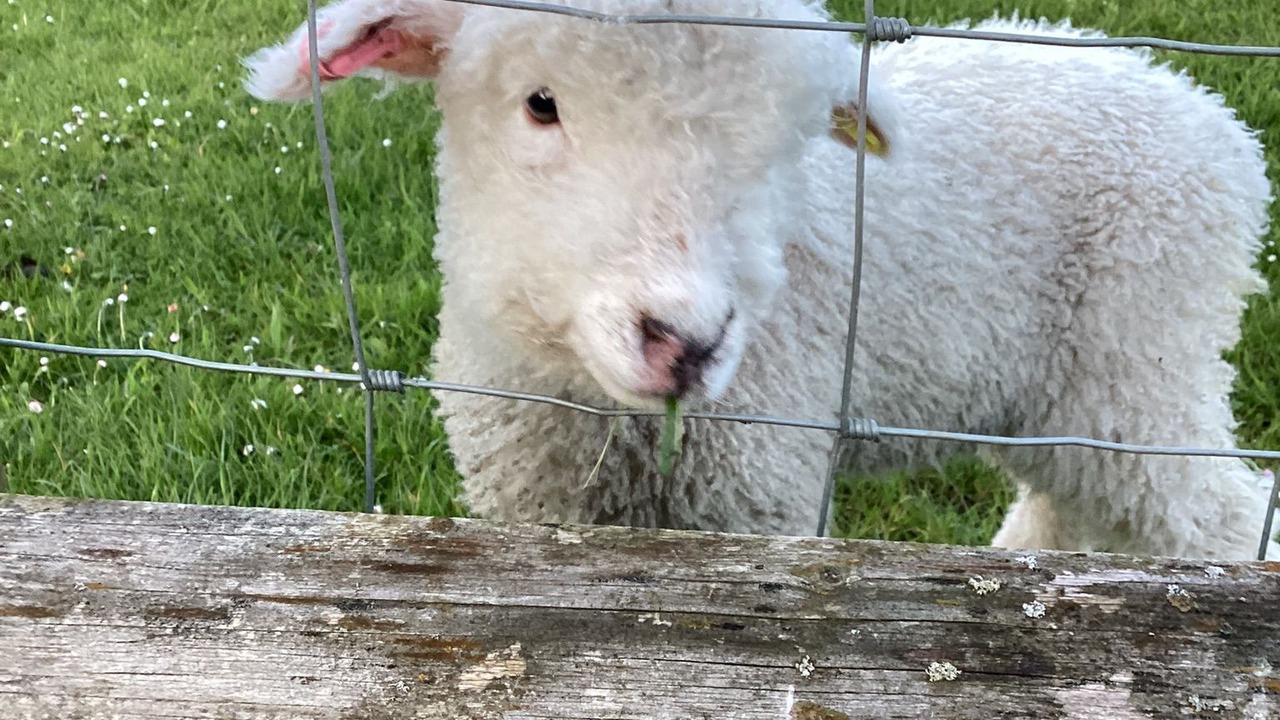 Photo of Others in Charney Bassett