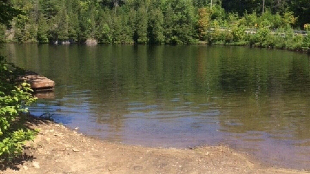 Photo of Others in Algonquin Highlands