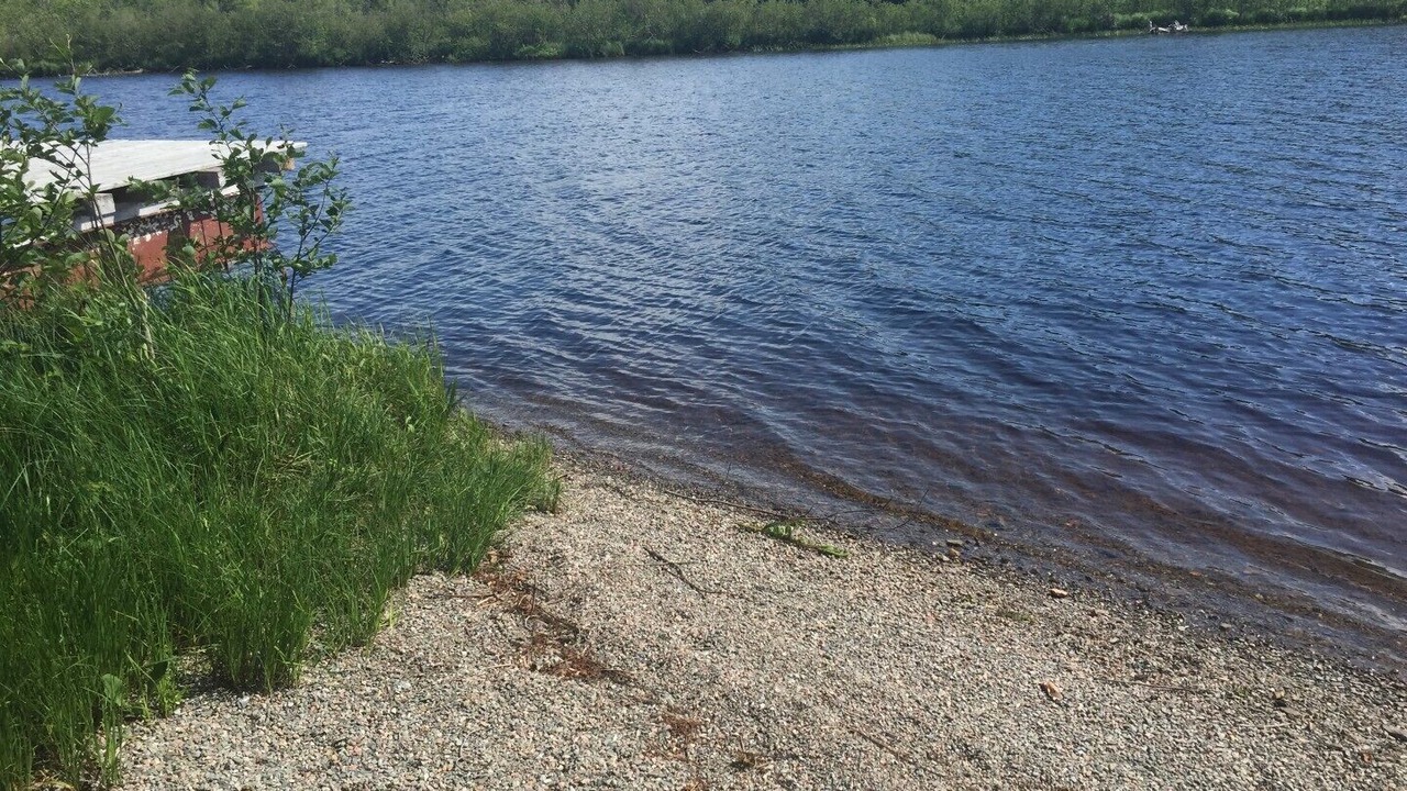 Photo of Others in Salmon River Road