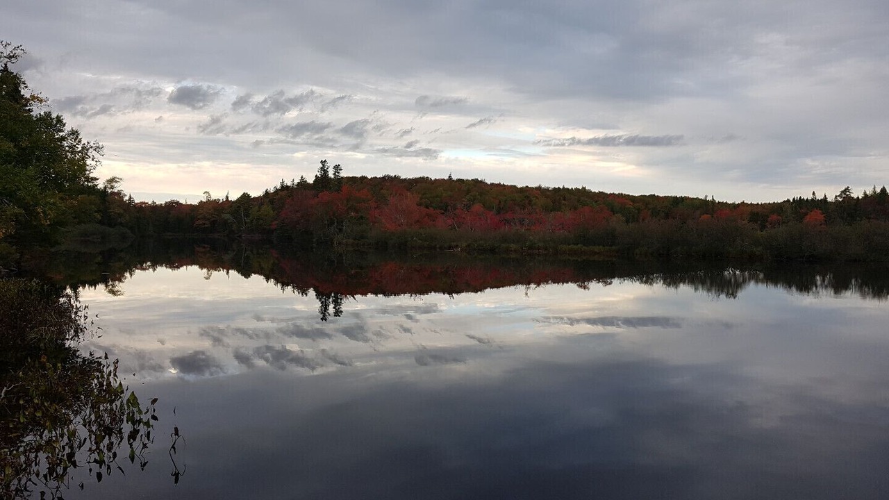 Photo of Others in Salmon River Road