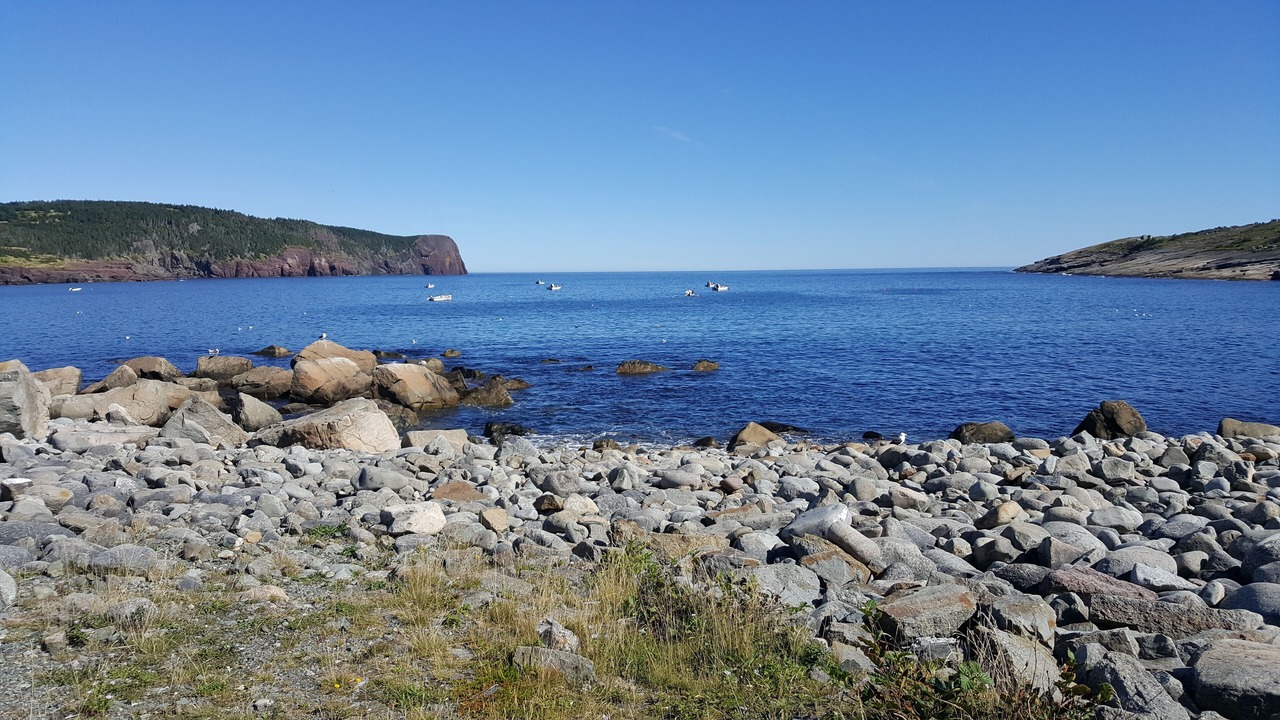 Photo of Others in Flatrock