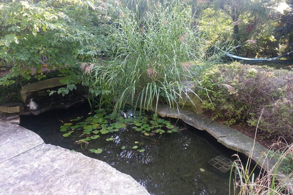 Photo of Others in Burlington