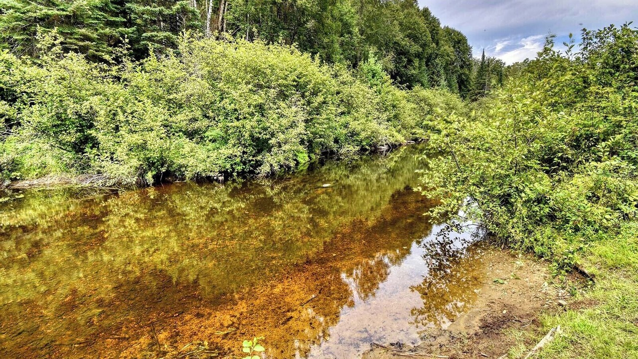 Photo of Outdoor in Amherst