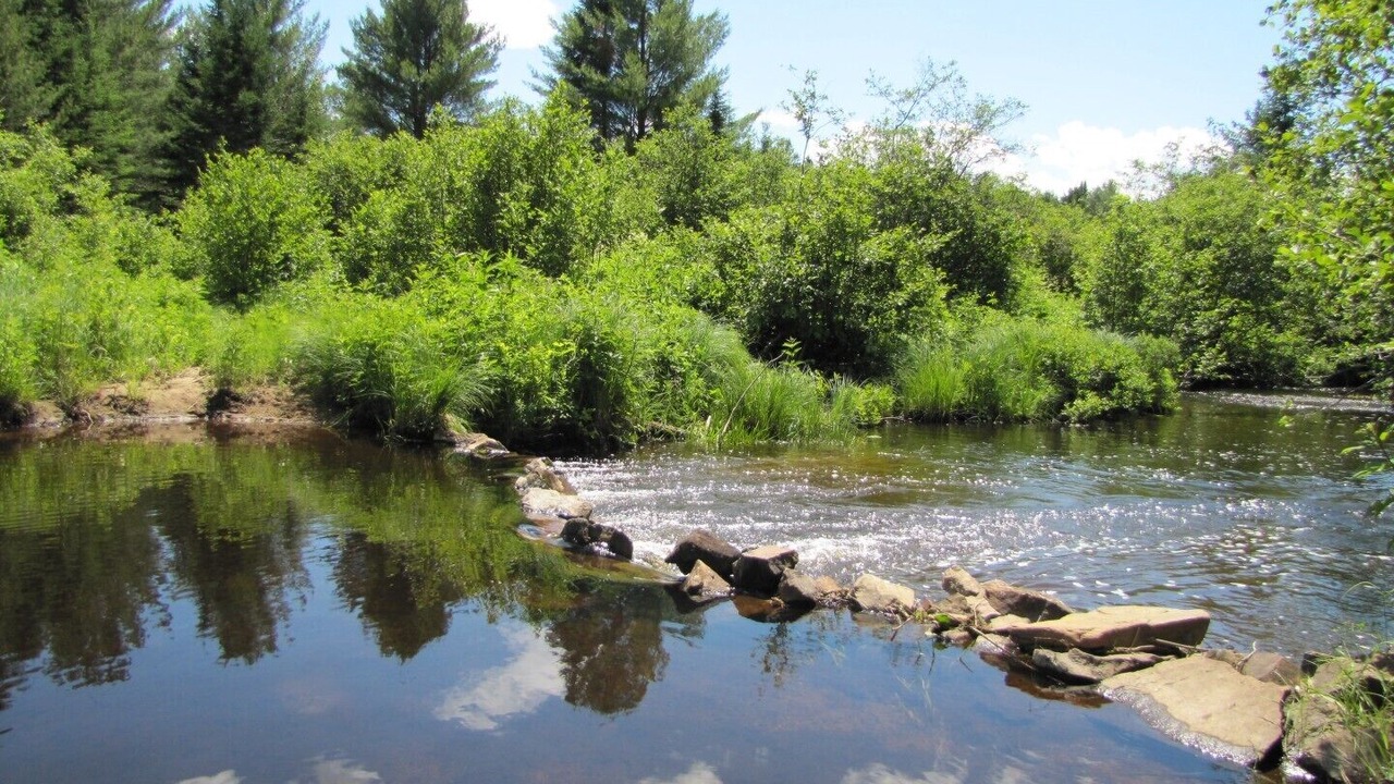 Photo of Outdoor in Amherst