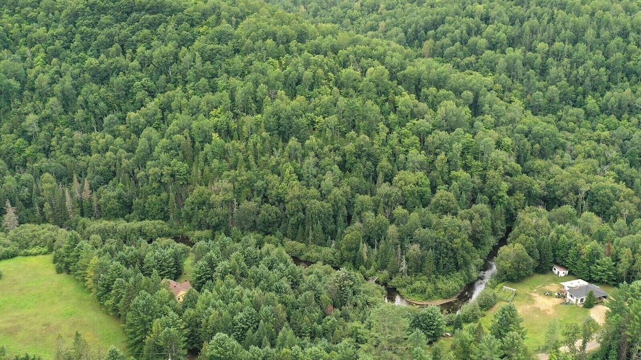 Photo of Outdoor in Amherst