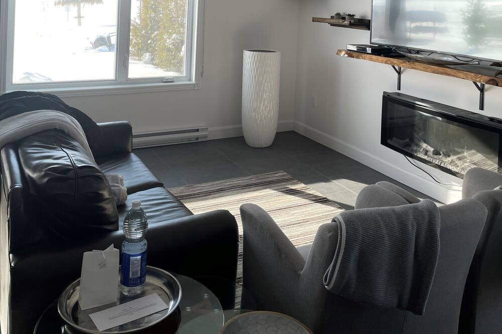 Photo of Livingroom in Larouche