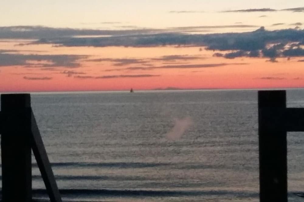 Photo of Others in Inverness