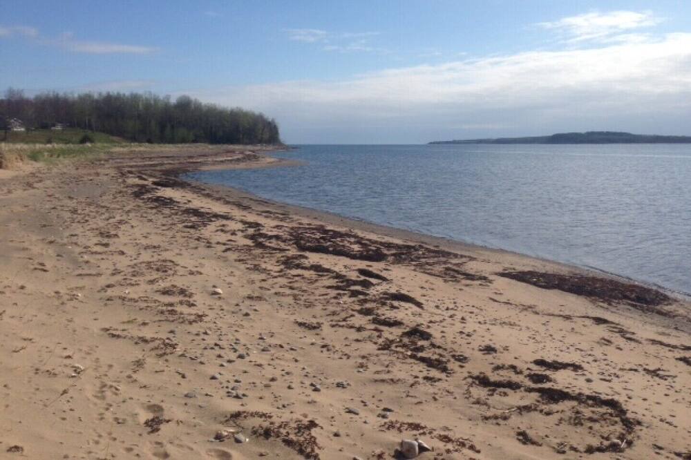 Photo of Others in Little Harbour