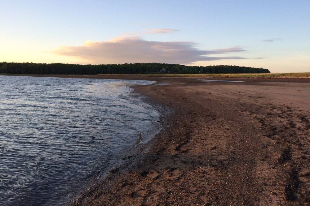Photo of Others in Little Harbour