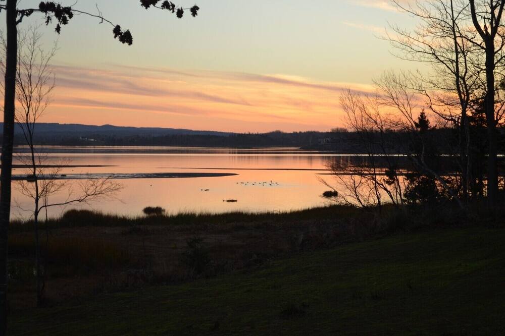 Photo of Others in Little Harbour