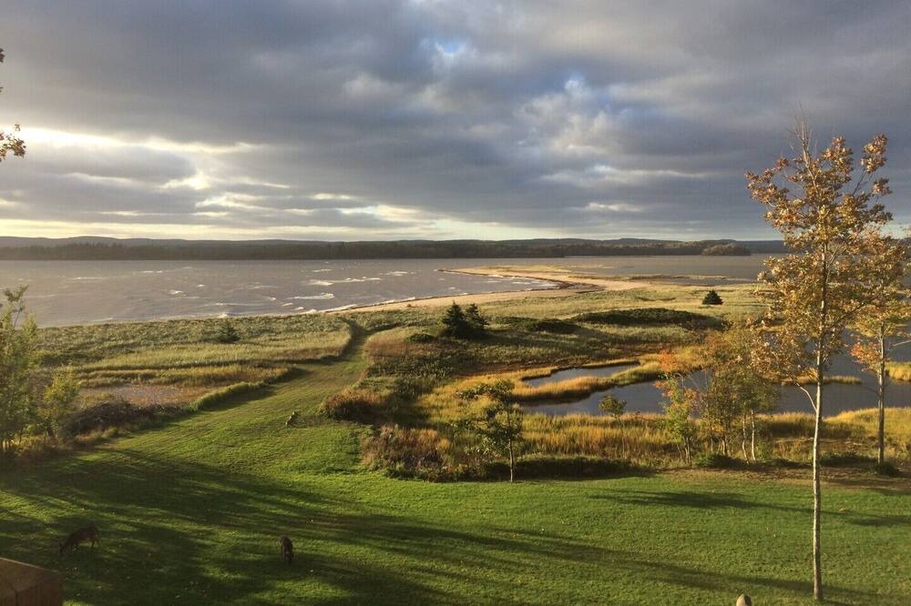 Photo of Others in Little Harbour