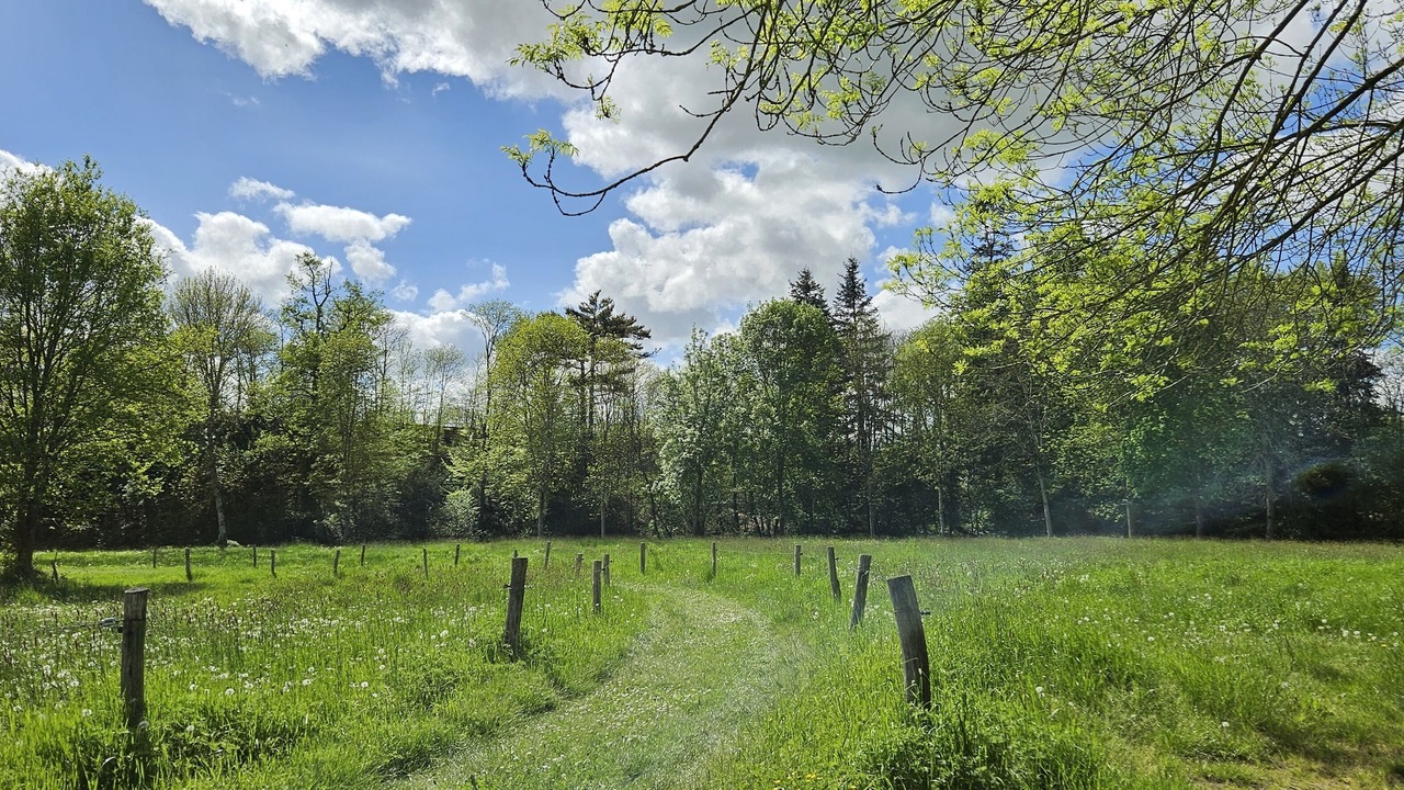 Photo of Outdoor in Craon