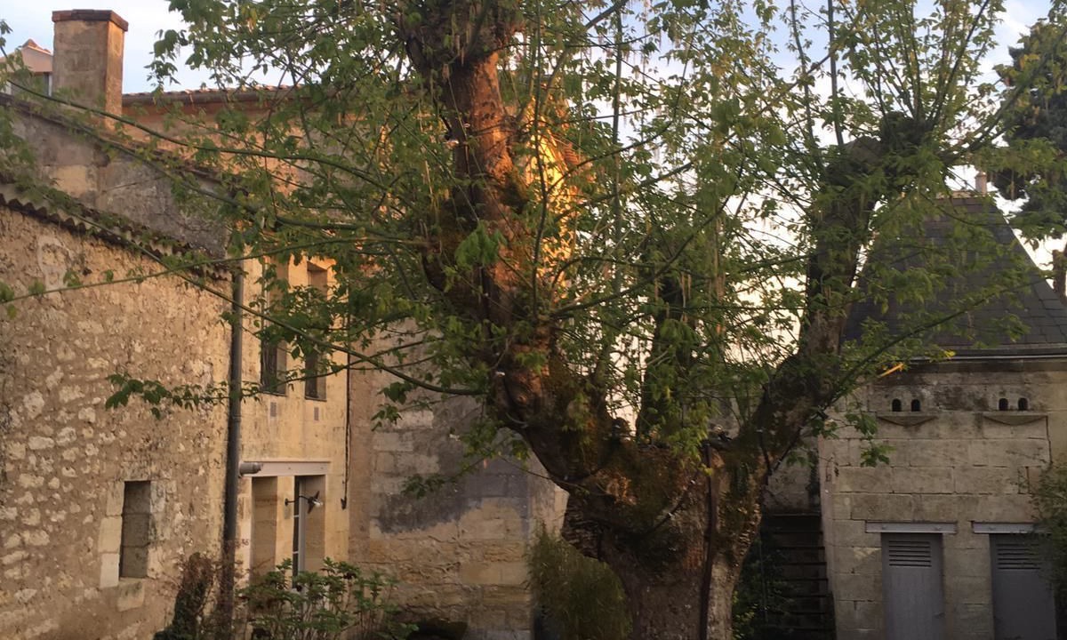Photo of Outdoor in Saint-Emilion