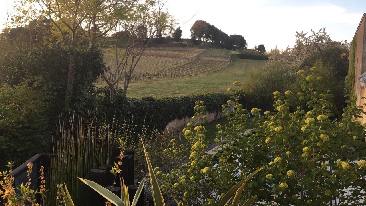 Photo of Outdoor in Saint-Emilion