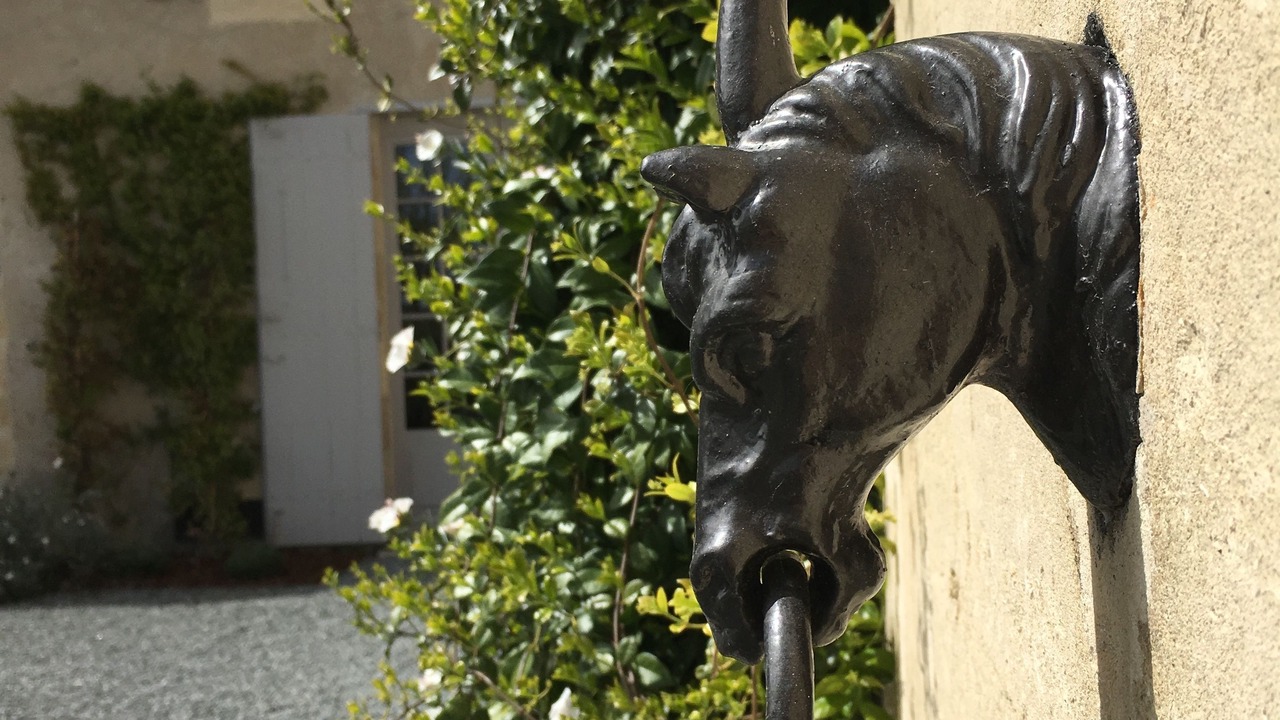 Photo of Outdoor in Saint-Emilion