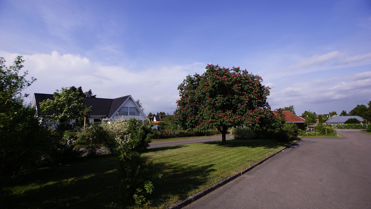 Photo of Outdoor in Holmegaard