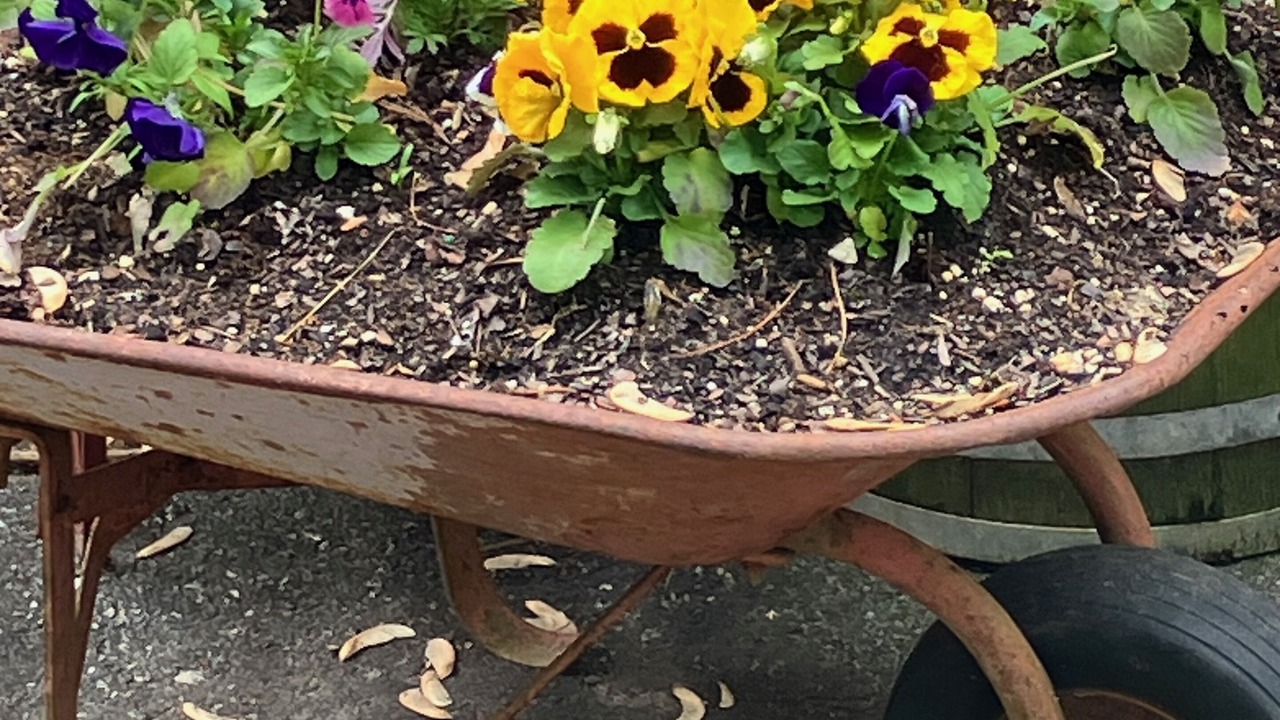 Photo of Outdoor in Marshall