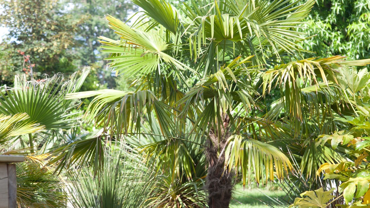 Photo of Outdoor in Fargues-Saint-Hilaire