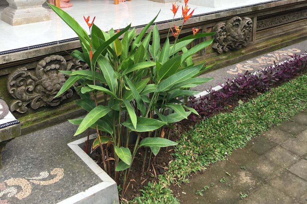 Photo of Patio Balcony in Samplangan