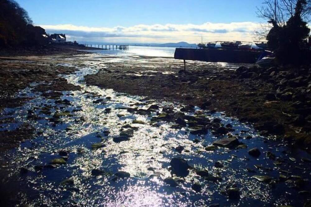 Photo of Others in Aberdour