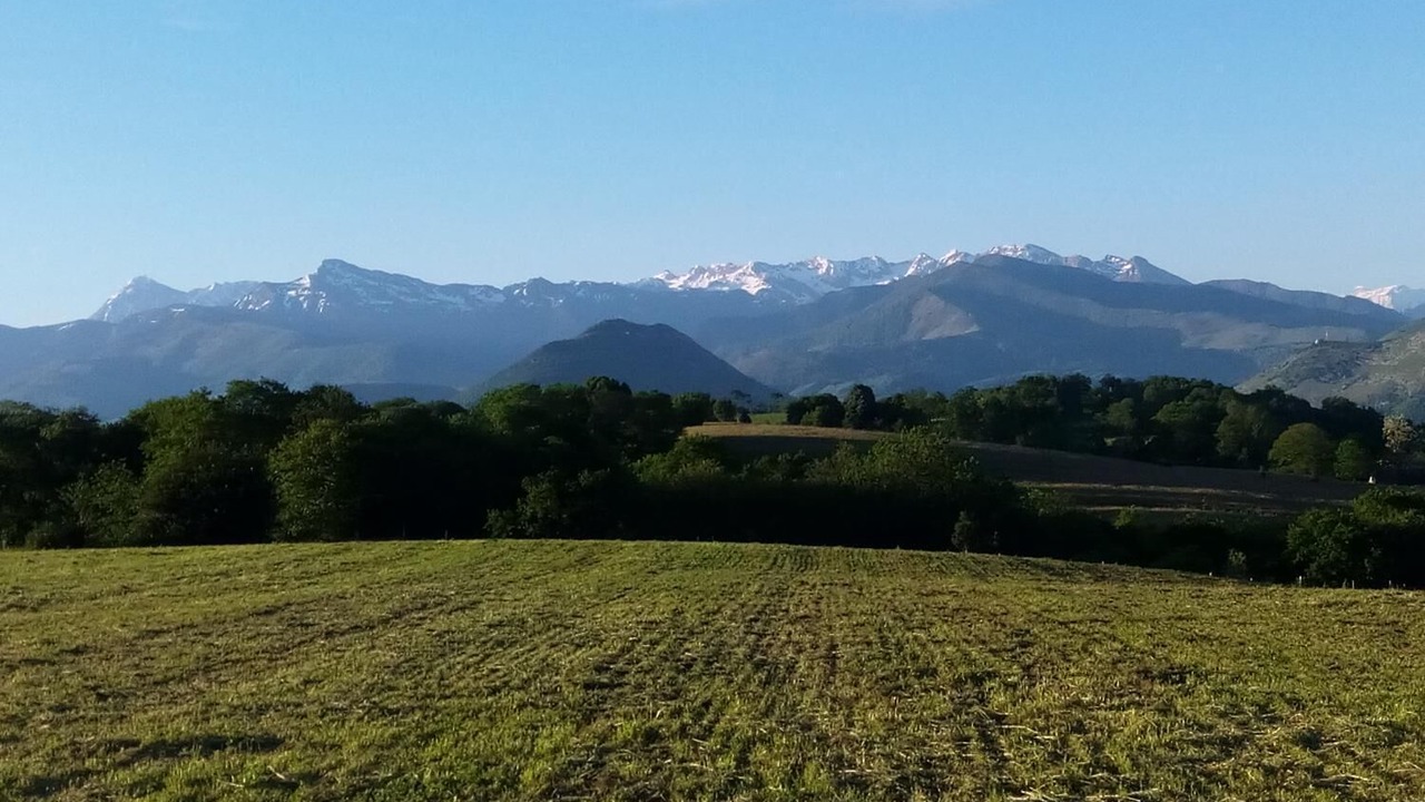 Photo of Outdoor in Loubajac
