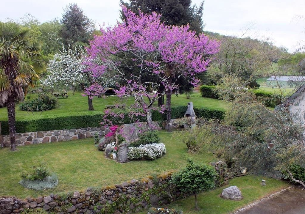 Photo of Outdoor in Loubajac