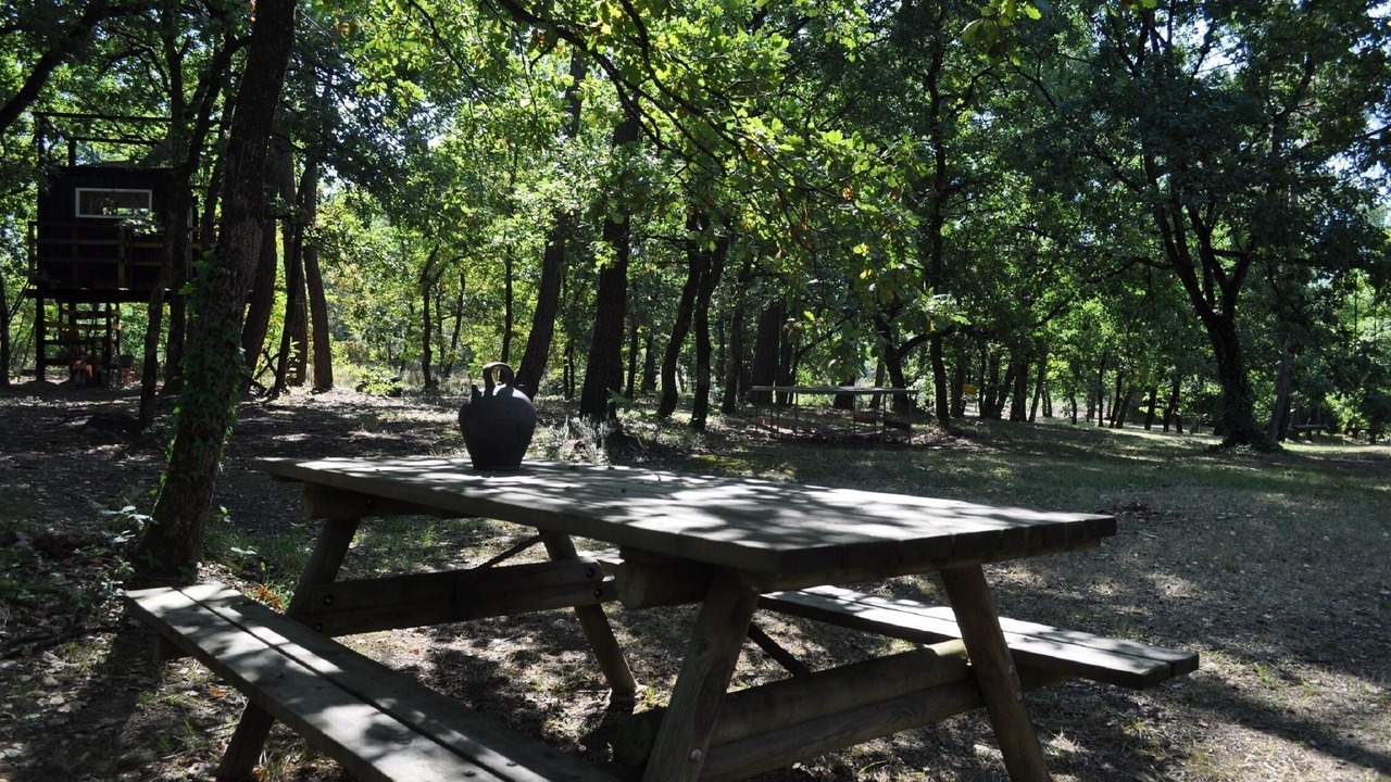 Photo of Outdoor in Negrepelisse