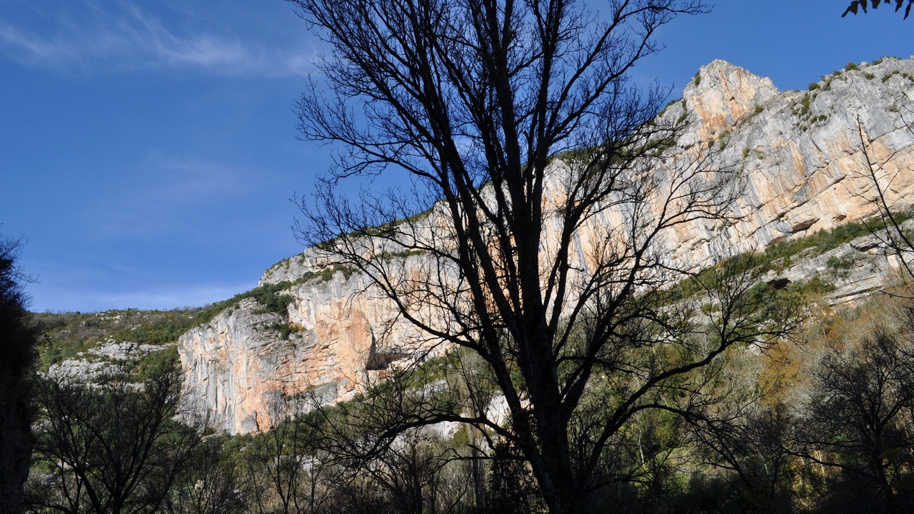 Photo of Outdoor in Negrepelisse