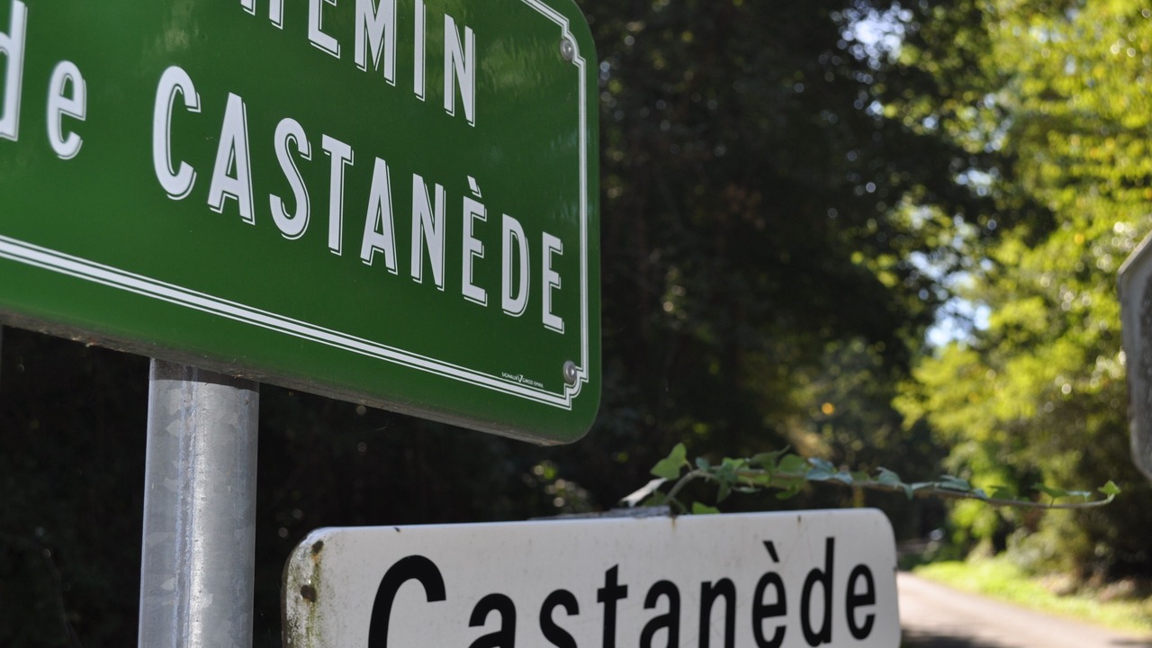 Photo of Outdoor in Negrepelisse