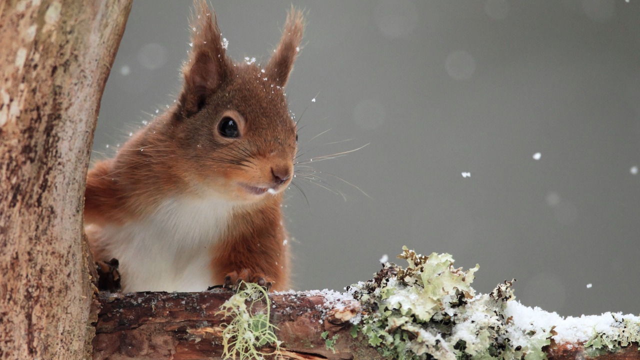 Photo of Outdoor in Strachur