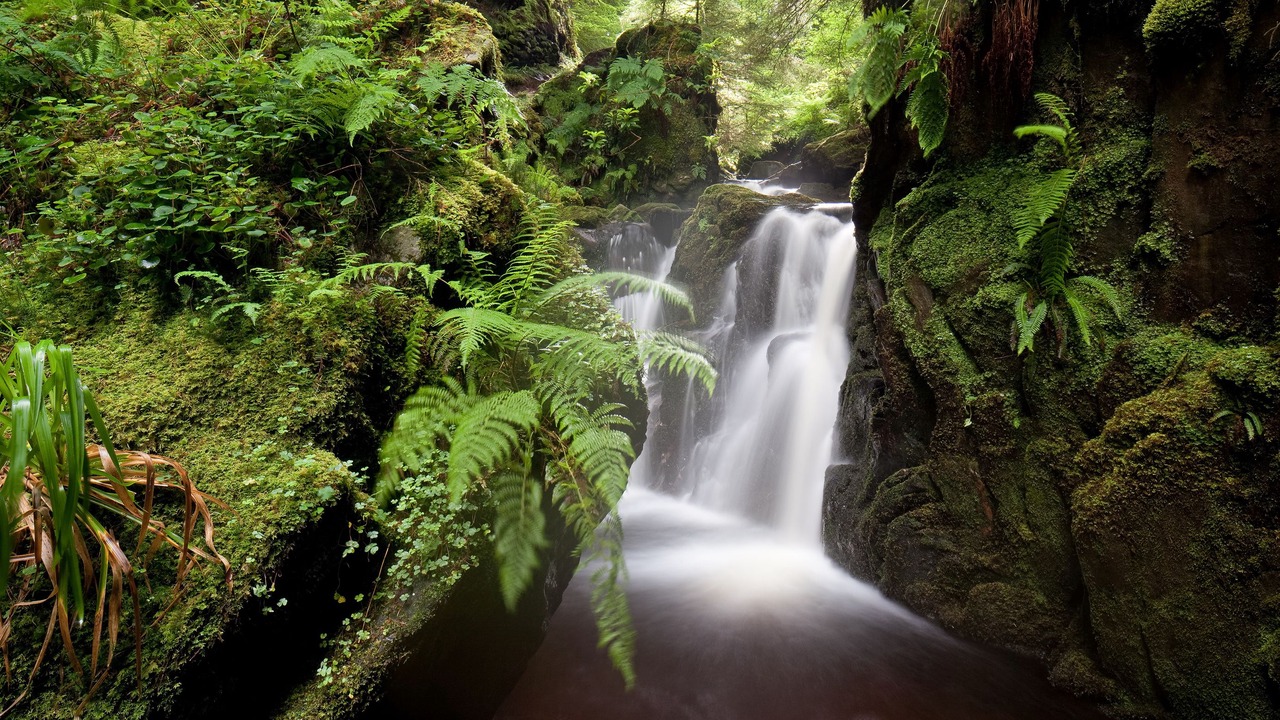 Photo of Outdoor in Strachur
