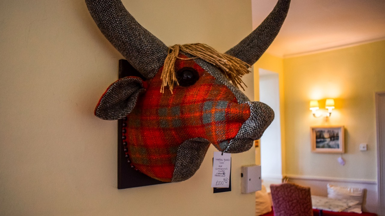 Photo of Others in Strachur