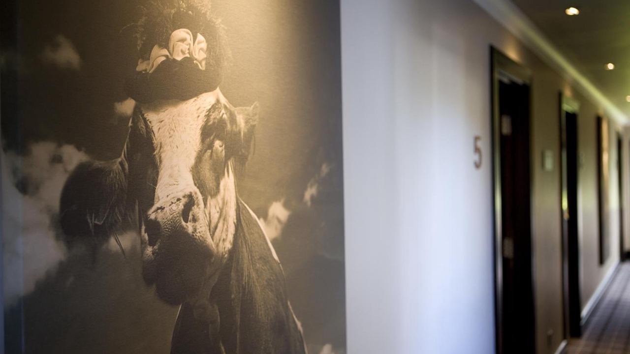 Photo of Others in Hale