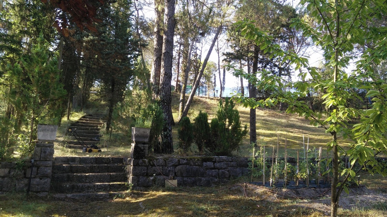 Photo of Outdoor in Berre-des-Alpes