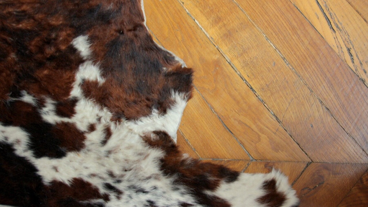 Photo of Others in Carnot - Gailleton