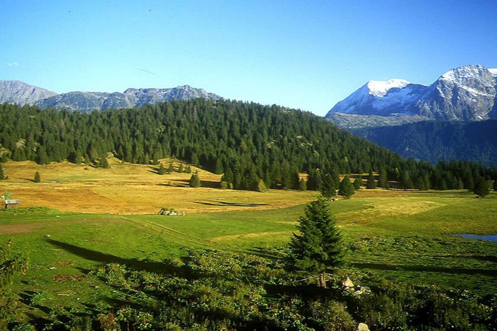 Photo of Others in Chamrousse