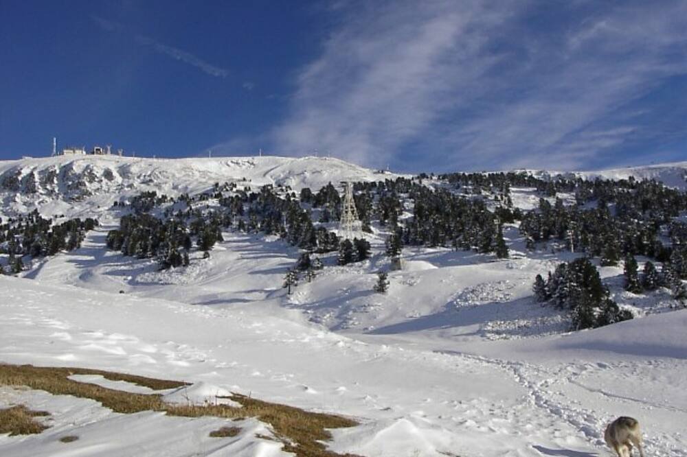 Photo of Others in Chamrousse